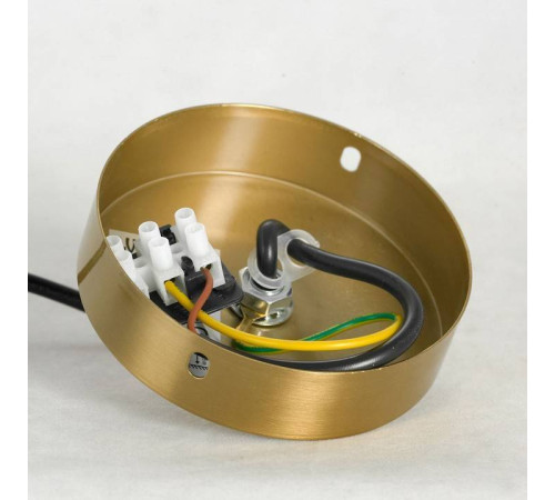 Подвесной светильник Lussole LSP-858 LSP-8585