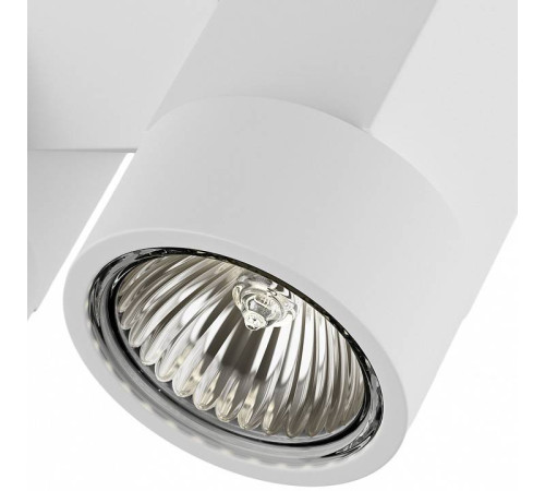 Светильник на штанге Lightstar Illumo X2 051036