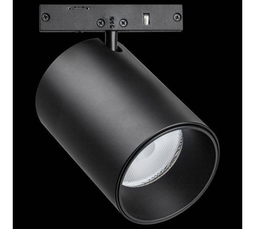 Светильник на штанге Lightstar Linea 206337