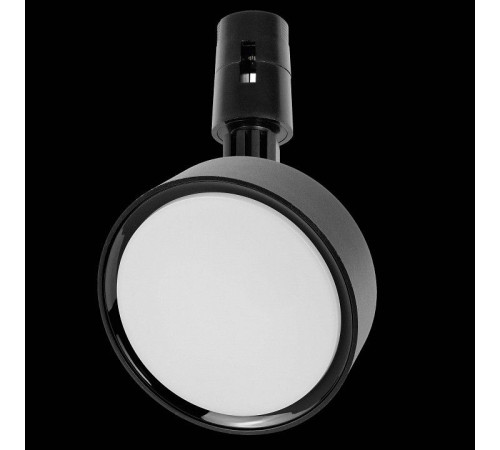 Светильник на штанге Lightstar Due Hermes 210547
