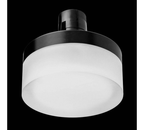 Накладной светильник Lightstar Due Hermes 210647