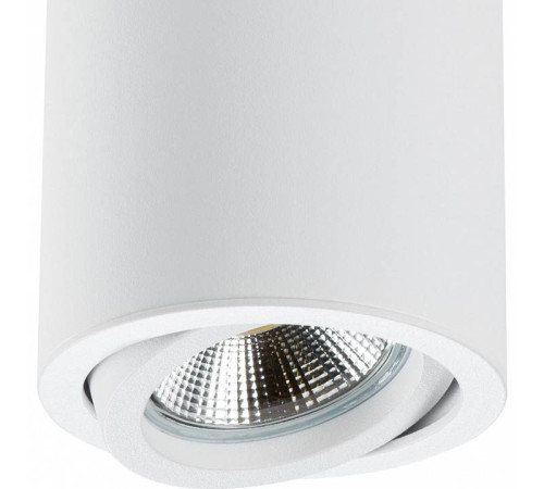 Накладной светильник Lightstar Rullo 214406