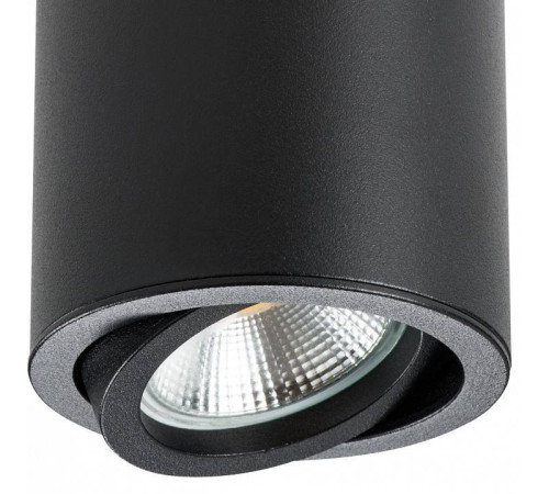 Накладной светильник Lightstar Rullo 214407