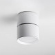 Накладной светильник Lightstar Acuto 215836