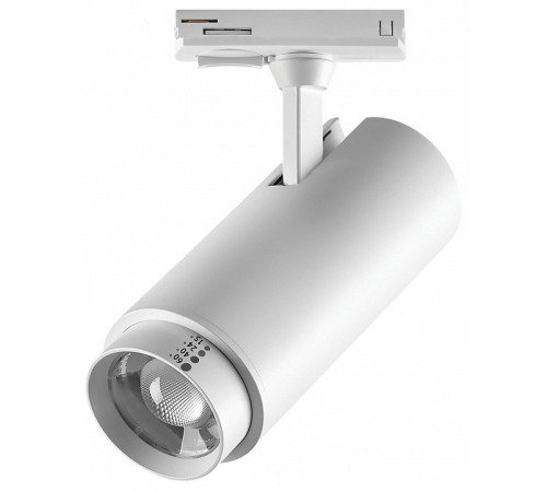 Светильник на штанге Lightstar Fuoco P+CCT 218026