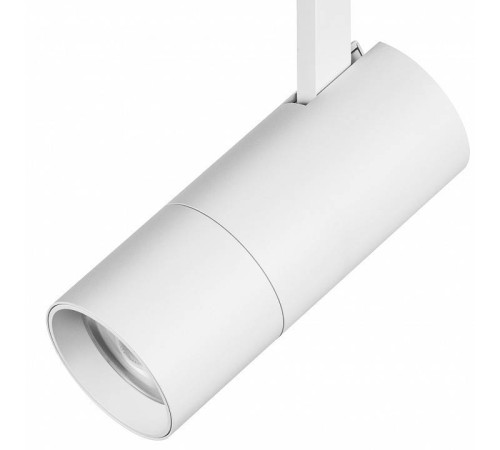 Светильник на штанге Lightstar Volta 229246