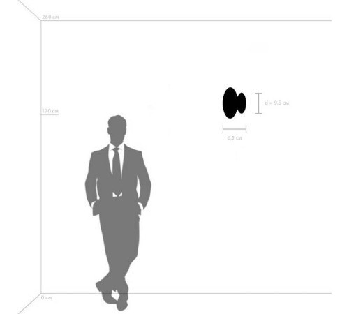 Накладной светильник Lightstar Celesta 809103