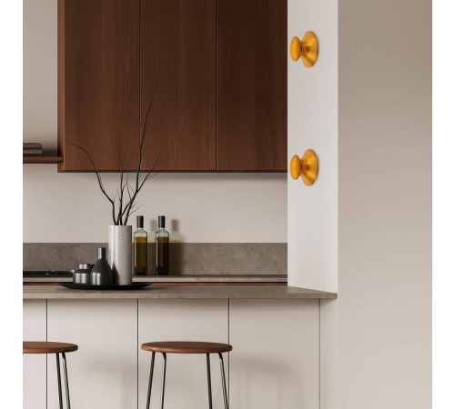 Накладной светильник Lightstar Celesta 809103