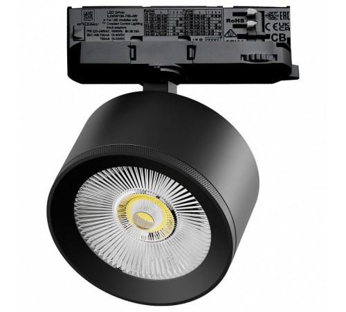 Светильник на штанге Lightstar Alta Pro A5537QT