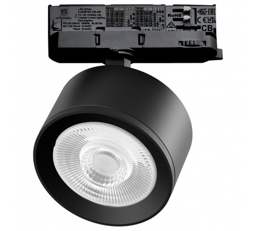 Светильник на штанге Lightstar Alta Pro A5537QT60G