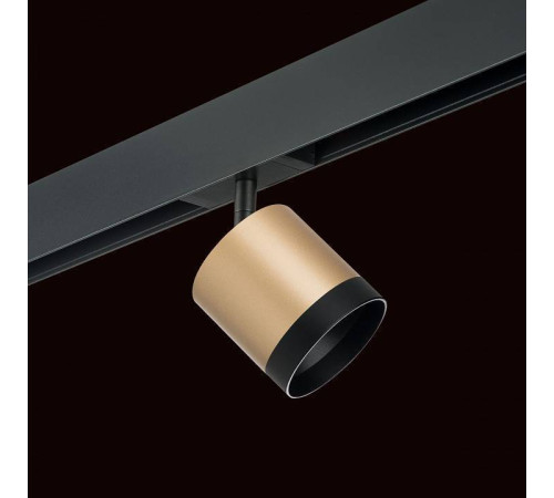 Светильник на штанге Lightstar Rullo PRO34903487