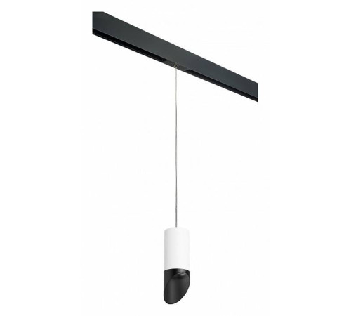 Подвесной светильник Lightstar Rullo PRORP43637