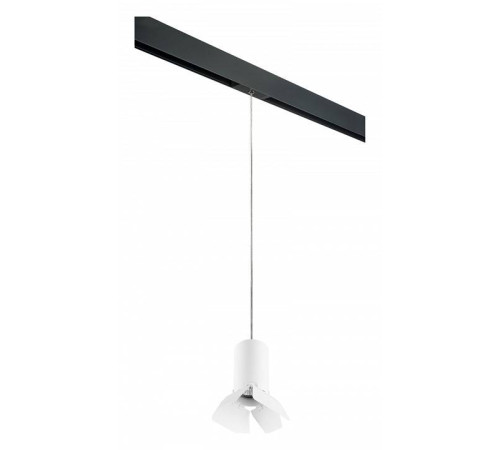 Подвесной светильник Lightstar Rullo PRORP436436