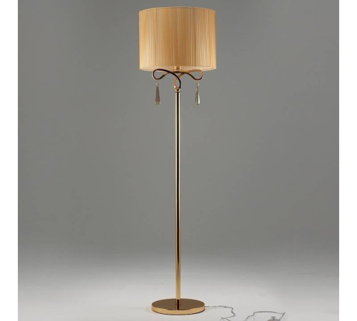 Торшер Moderli Chilly V10546-1F