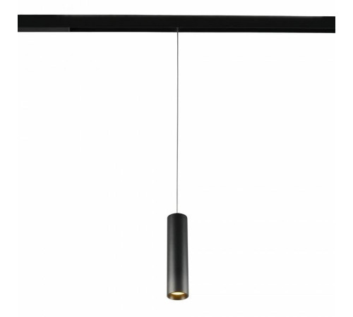 Подвесной светильник MyFar Technical MT0221-20W3K-S-B