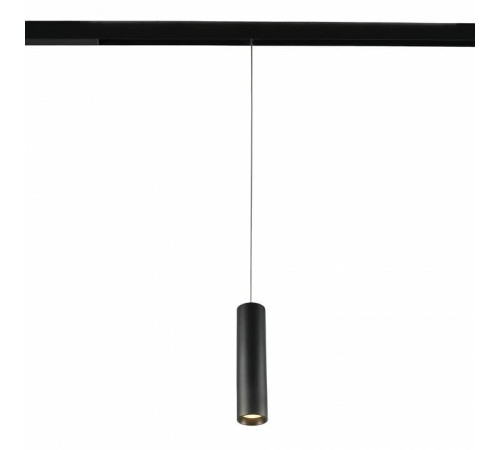 Подвесной светильник MyFar Technical MT0221-20W3K-S-B