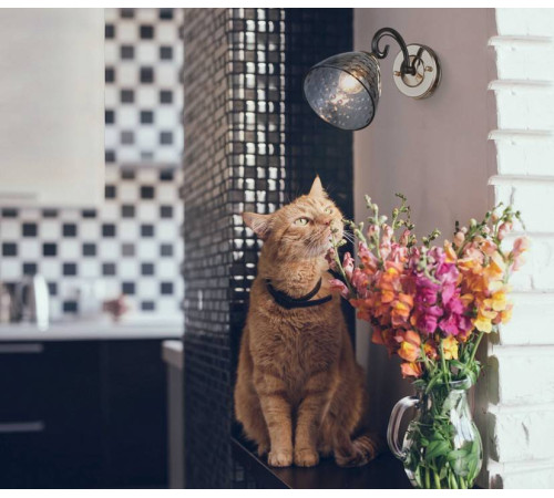 Бра De City Клэр 2 463021901