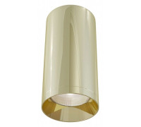 Потолочный светильник Maytoni Focus 1xGU10 C010CL-01G