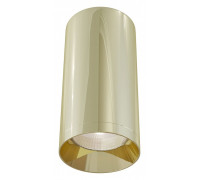 Потолочный светильник Maytoni Focus 1xGU10 C010CL-01G