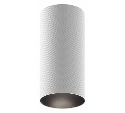 Накладной светильник Maytoni Artisan C080CL-01-GU10-W