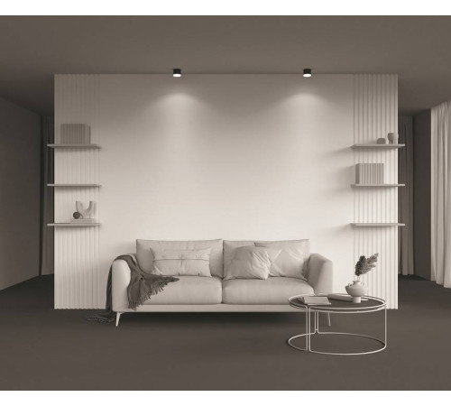 Накладной светильник Maytoni Pauline C087CL-GX53-B