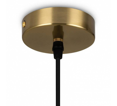 Подвесной светильник Freya Pina FR5387PL-L14BS