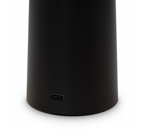 Настольная лампа декоративная Freya Mushroom FR6109TL-L4B