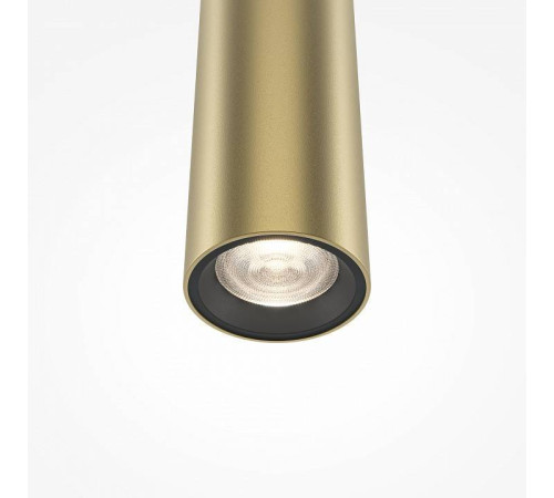 Подвесной светильник Maytoni Pro Extra MOD160PL-L6GK