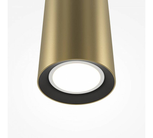 Подвесной светильник Maytoni Pro Focus MOD161PL-01G1