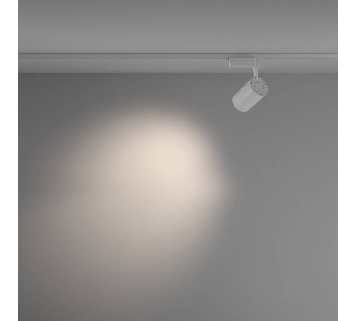 Светильник на штанге Maytoni Vuoro TR003-1-15W4K-M-W