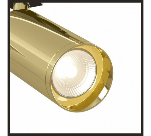 Трековый светильник Maytoni Focus GU10 TR004-1-GU10-G