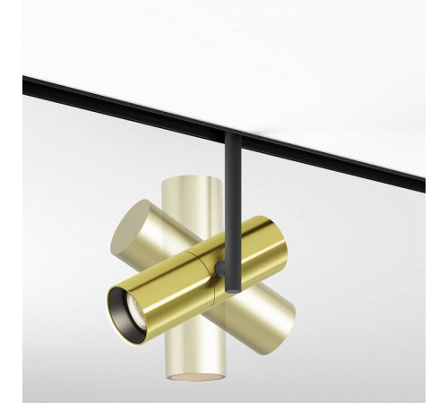 Светильник на штанге Maytoni Elti TR005-4-12W-DS-BBS