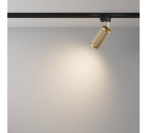 Светильник на штанге Maytoni Focus Design TR011-1-GU10-G
