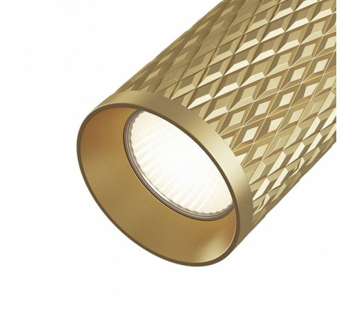 Светильник на штанге Maytoni Focus Design TR011-1-GU10-G