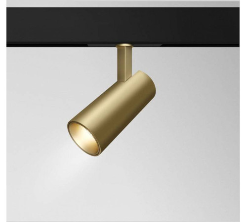 Светильник на штанге Maytoni Technical Track TR019-2-15W4K-MG