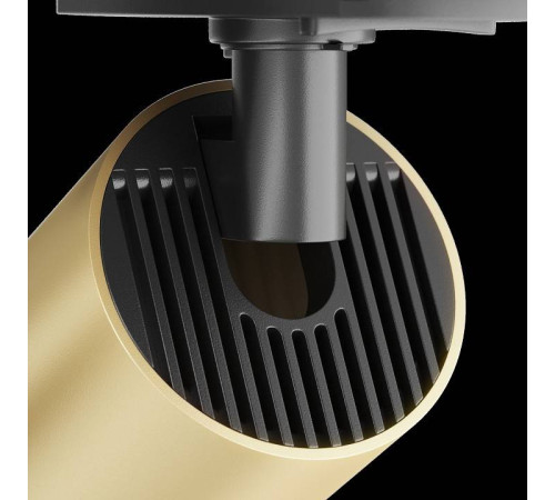 Светильник на штанге Maytoni Focus S TR020-1-U-GU10-BMG