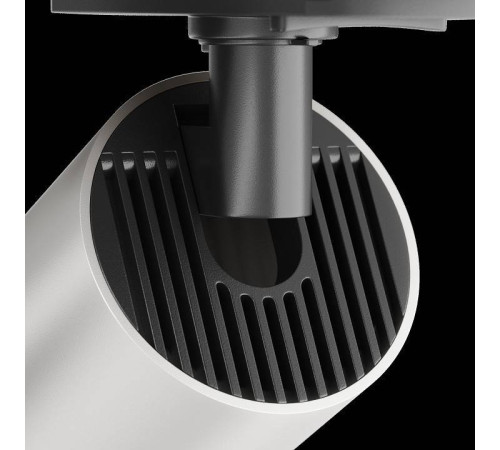 Светильник на штанге Maytoni Focus S TR020-1-U-GU10-BS