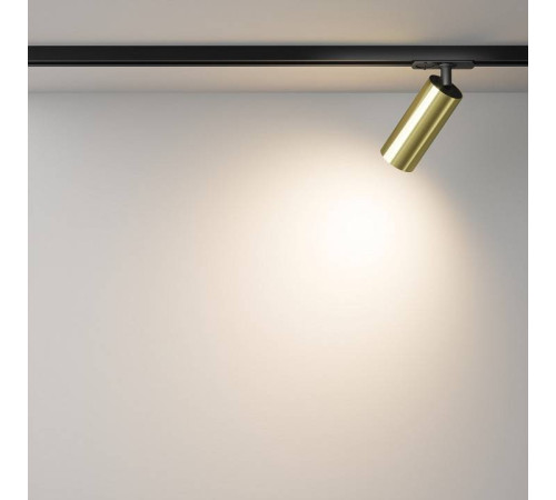 Светильник на штанге Maytoni Focus LED TR021-1-12W3K-W-BBS