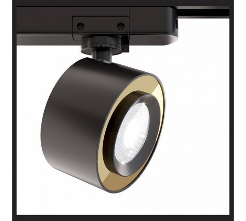 Светильник на штанге Maytoni Track lamps TR023-1-12B3K