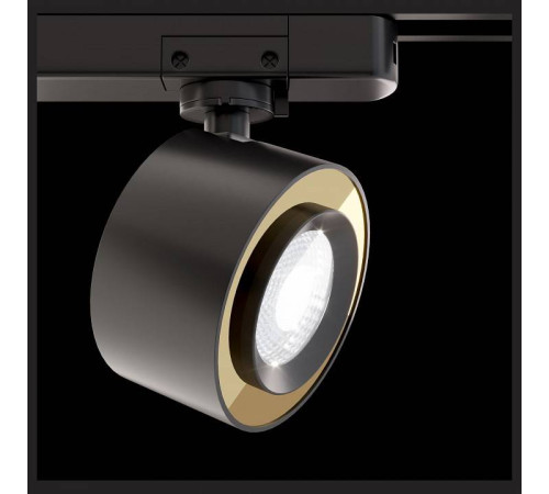 Светильник на штанге Maytoni Track lamps TR023-1-12B3K
