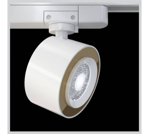 Светильник на штанге Maytoni Track lamps TR023-1-12W3K