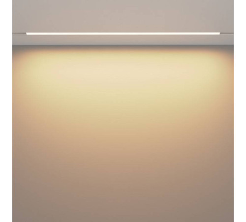 Встраиваемый светильник Maytoni Basis TR030-4-30W3K-WW-DS-W