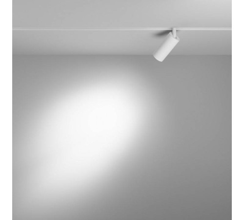 Светильник на штанге Maytoni Focus LED TR032-4-5W3K-S-DS-W