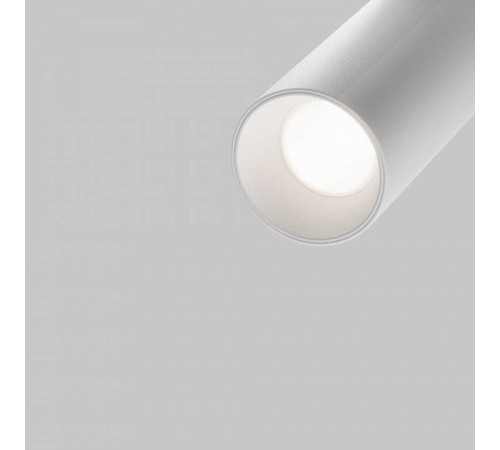 Светильник на штанге Maytoni Focus LED TR032-4-5W3K-S-DS-W