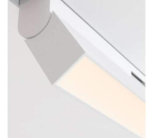 Накладной светильник Maytoni Basis Rot TR036-2-12W3K-W