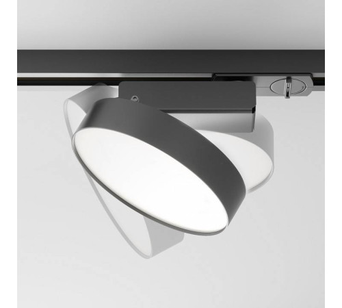 Светильник на штанге Maytoni Zon TR043-1-12W4K-B