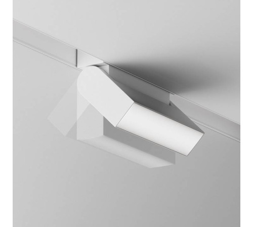 Накладной светильник Maytoni Basis Rot TR075-2-10W4K-W