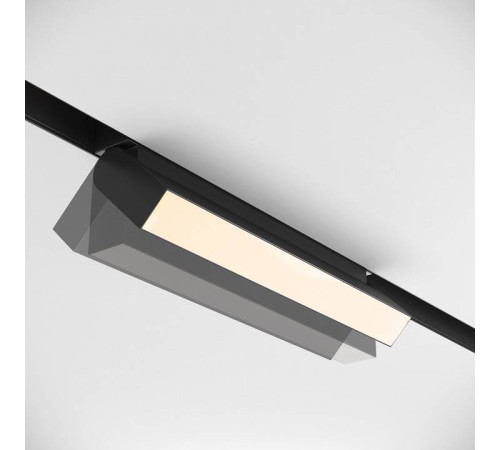 Накладной светильник Maytoni Basis Rot TR075-2-20W3K-B