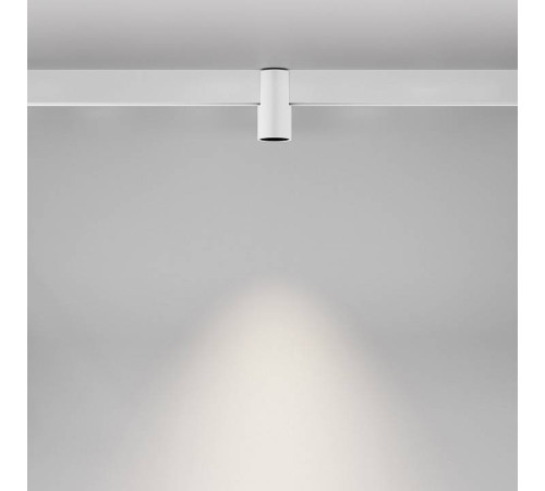 Накладной светильник Maytoni Alfa TR122-2-7W4K-W