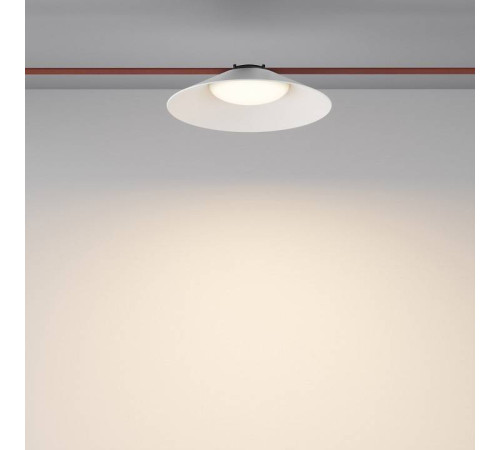 Подвесной светильник Maytoni Campana TR127B-12W3K-W